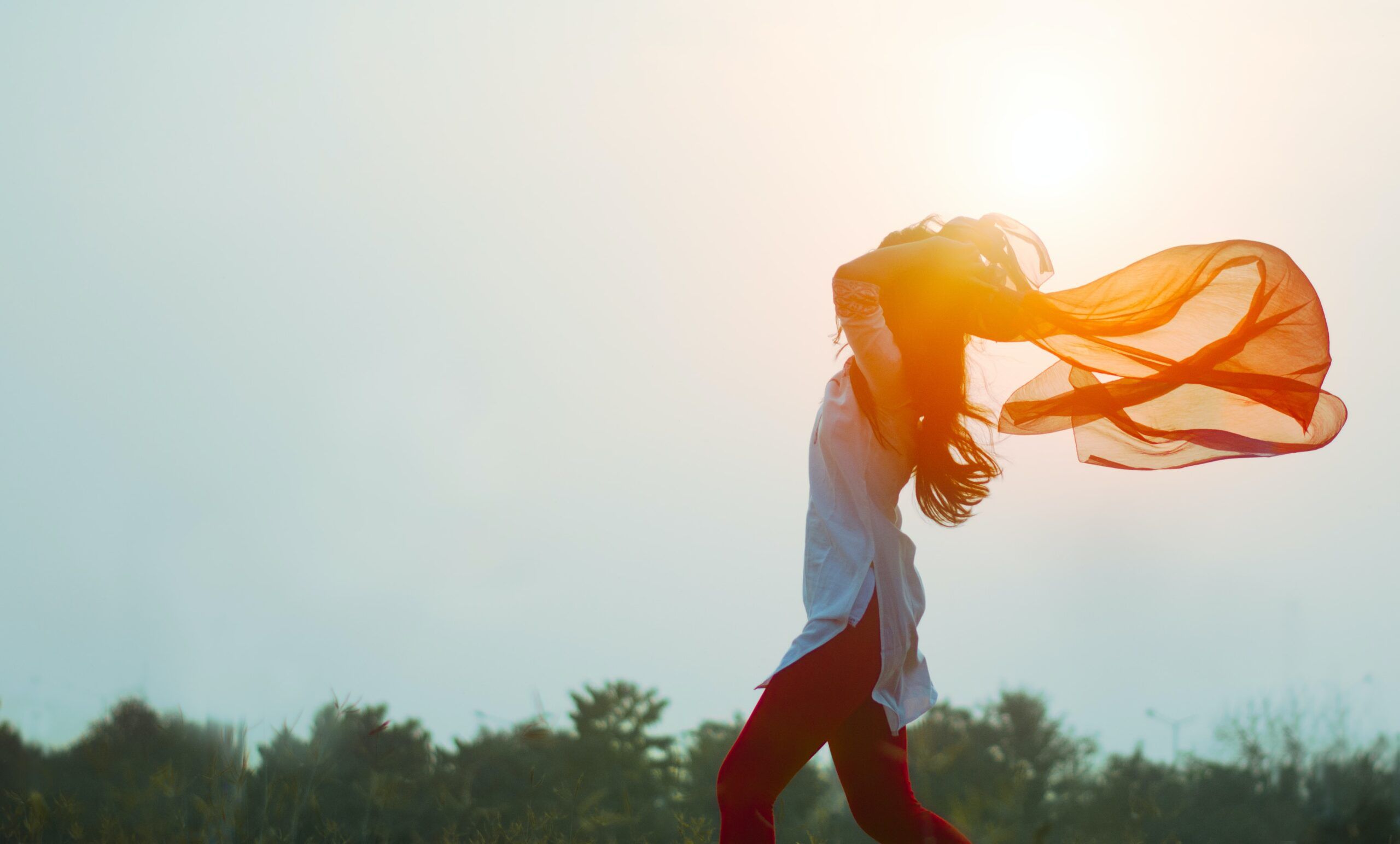 La psicoterapia